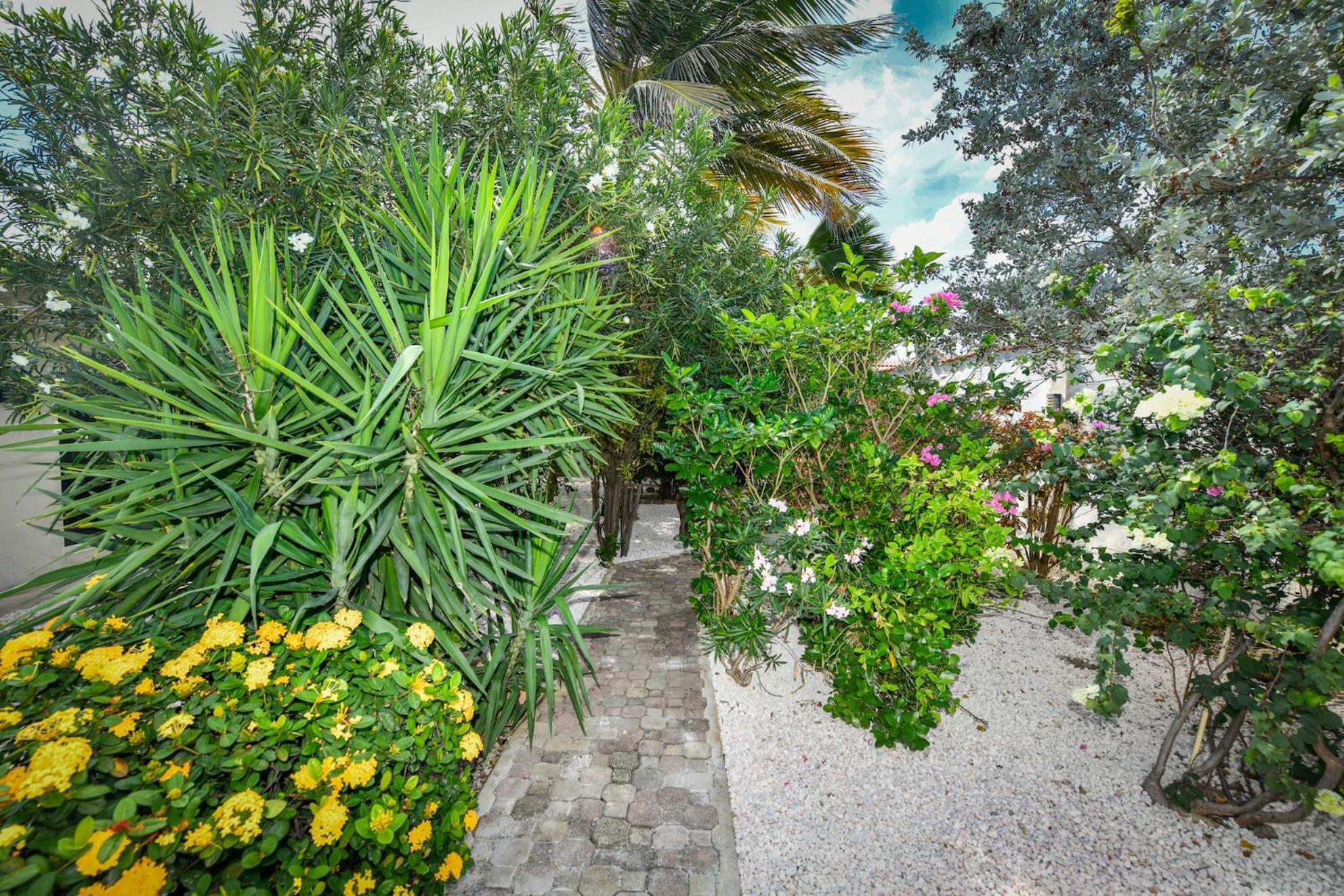 Aloe B&B Oranjestad Kültér fotó