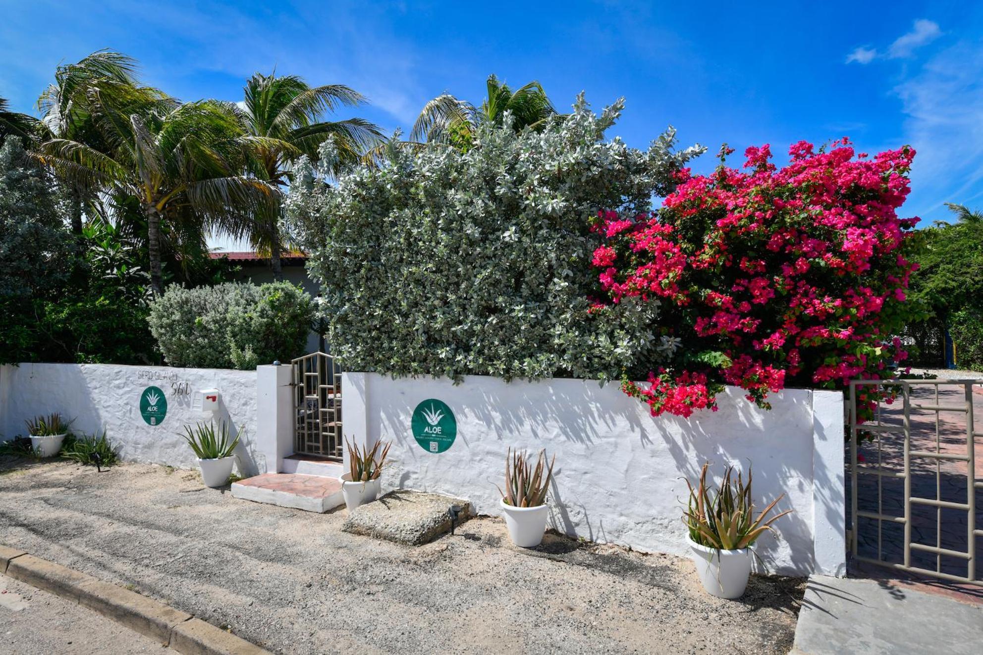 Aloe B&B Oranjestad Kültér fotó